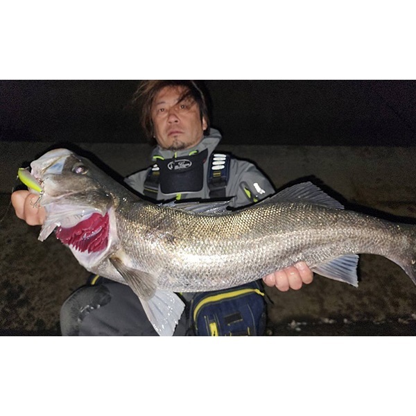 ストリームローグ 135